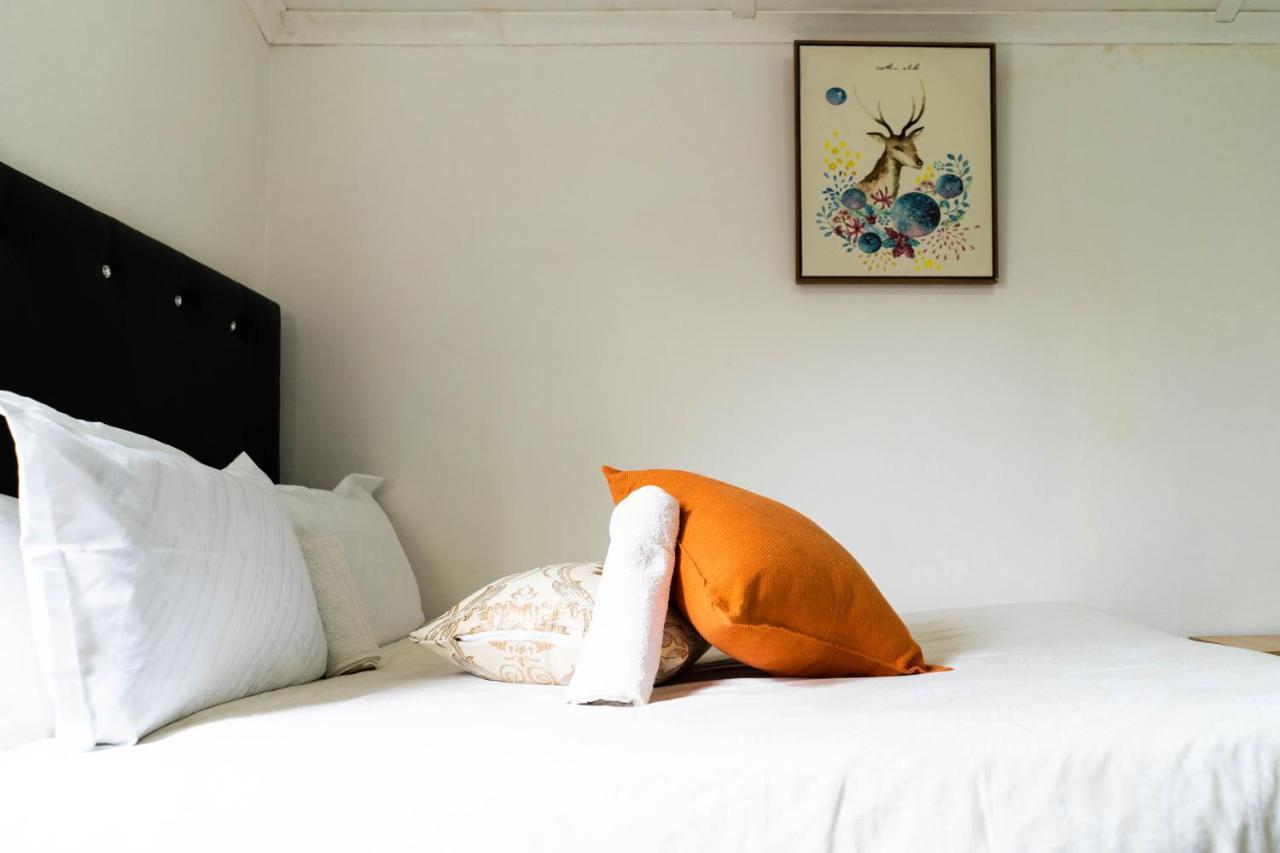 Albrine Lodge Bellville Dış mekan fotoğraf